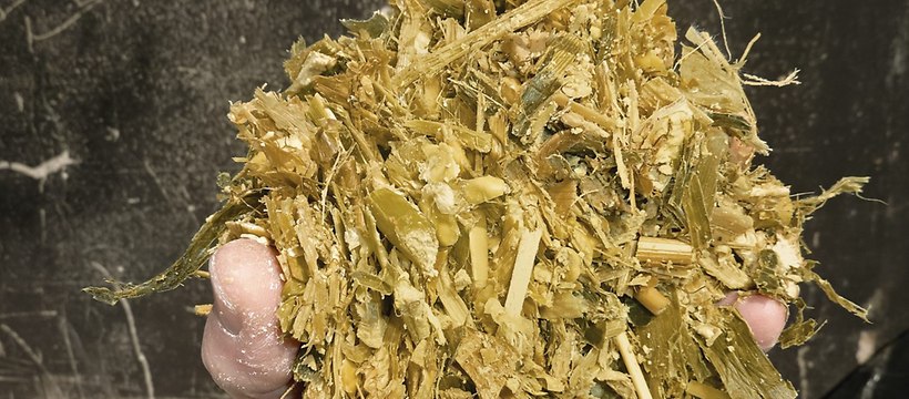 Fermentiertes Häckselgut -